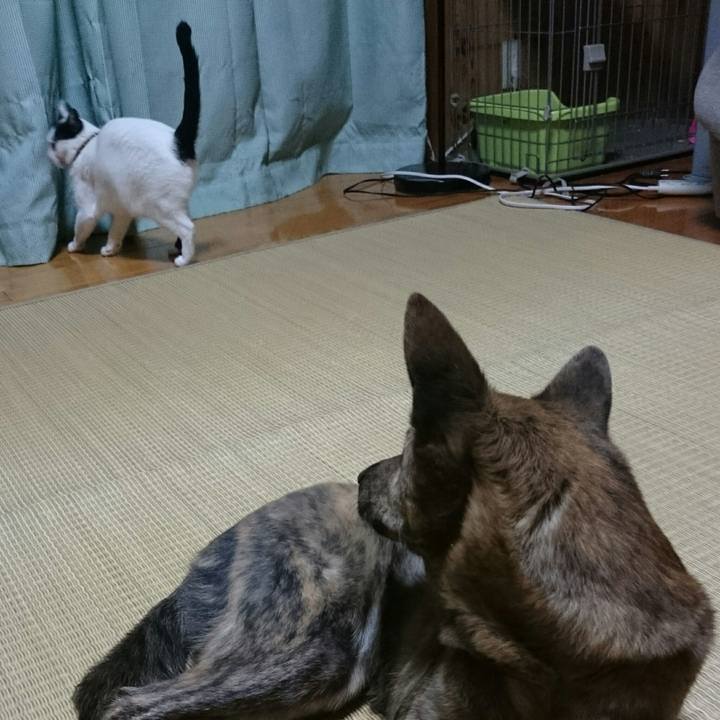 566e9a56 5872 4b25 96ad 6877bb199f84