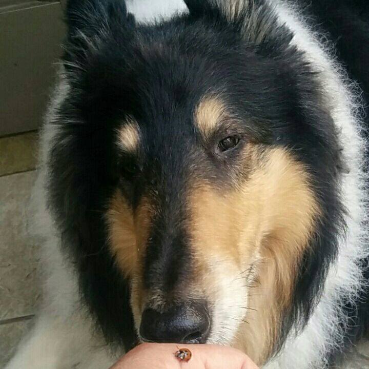 566ef5b6 7bc0 4931 ba46 6f0e5a6d5e4c