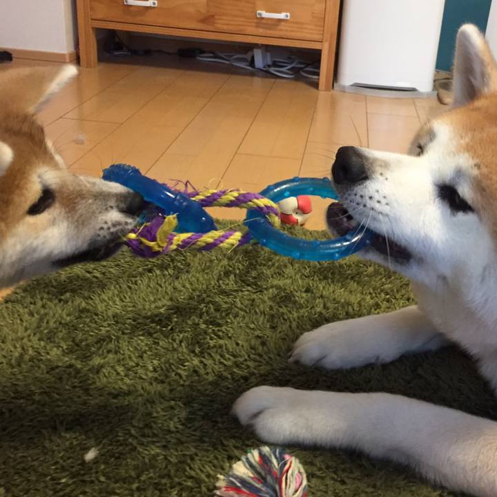 566ef72d b4d3 4870 923b b726739887f5