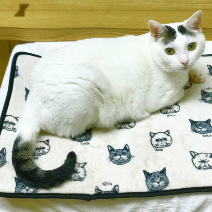 566f108a 60ca 4878 911f 04153ff4e490