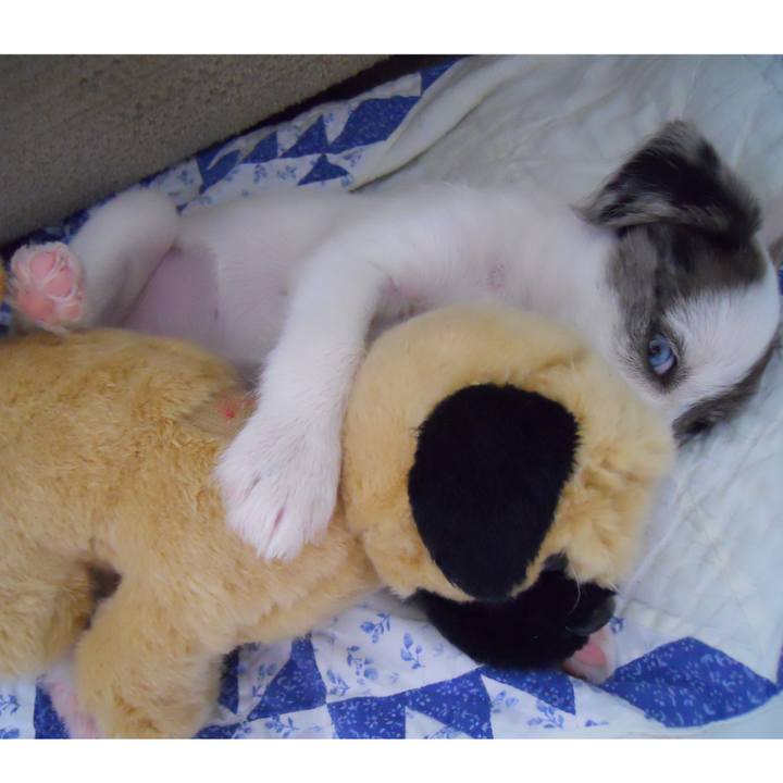 566f8412 0c32 468d a831 0d5160856014