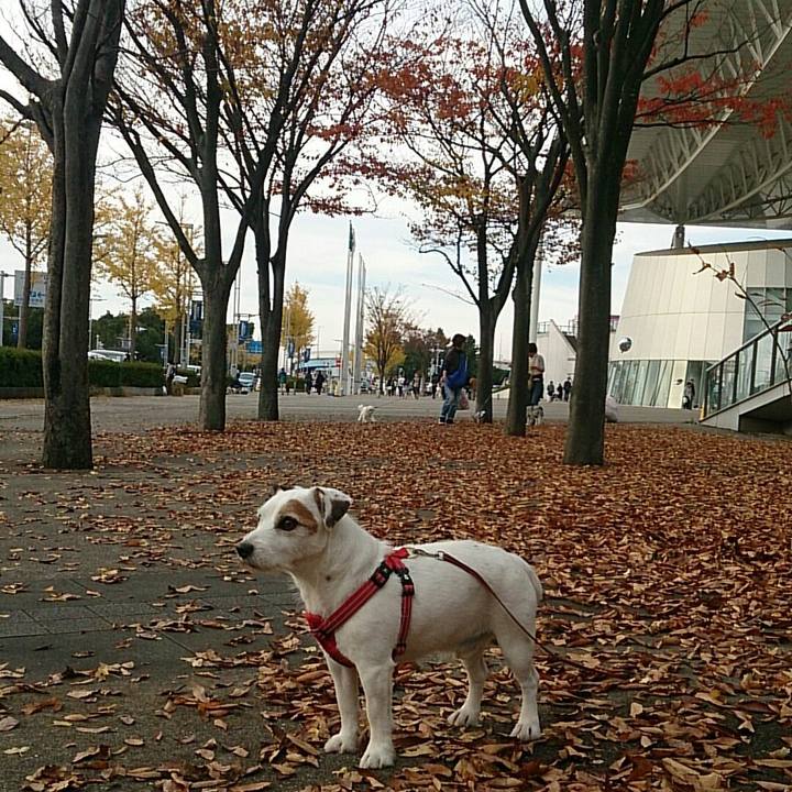 5670009d 7fad 440c 9e29 82db137ac057