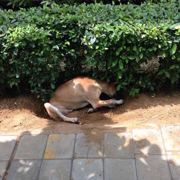 56700ebd 8a99 4934 84ab 41aa584049d8