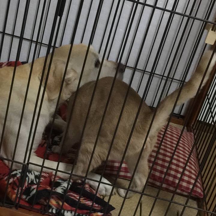 5670d206 28c4 4430 8ab7 09622d2e553d