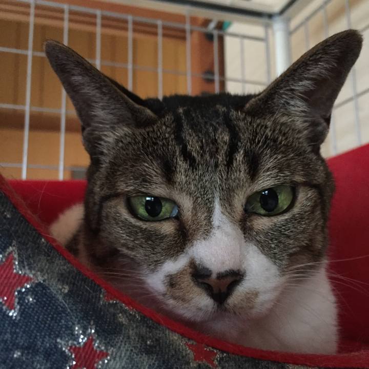 5670d500 4002 4d05 91f4 f3769c253a9c