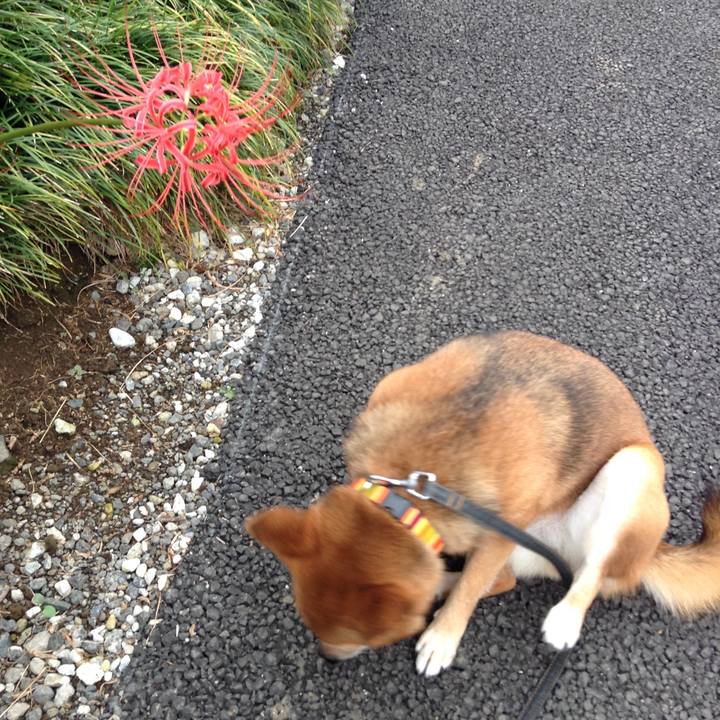 5670e483 0a0f 40a4 b720 d1a1aa6a6c2c