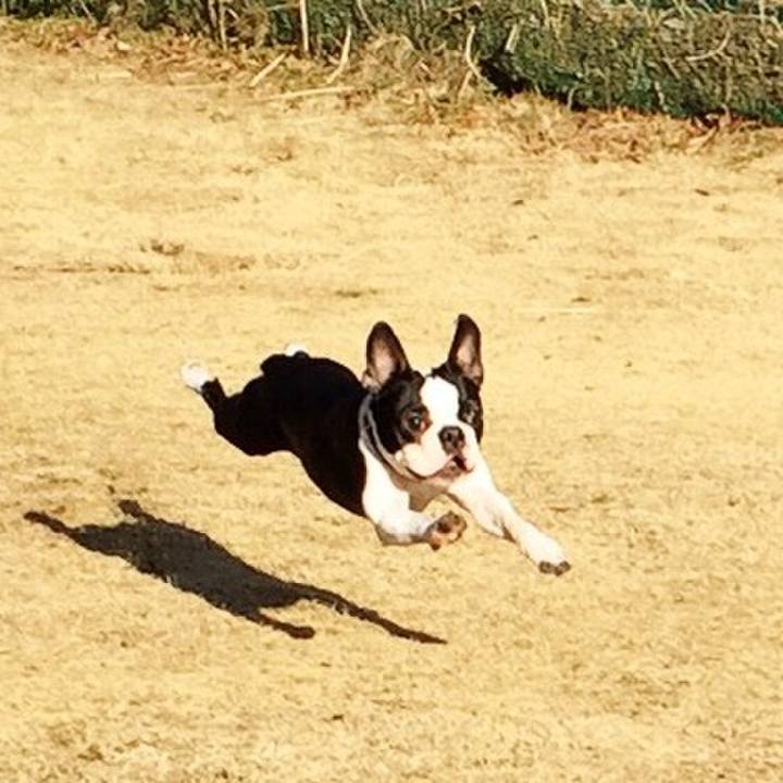 56712caf 6def 4534 8b7d 96cd62deed21