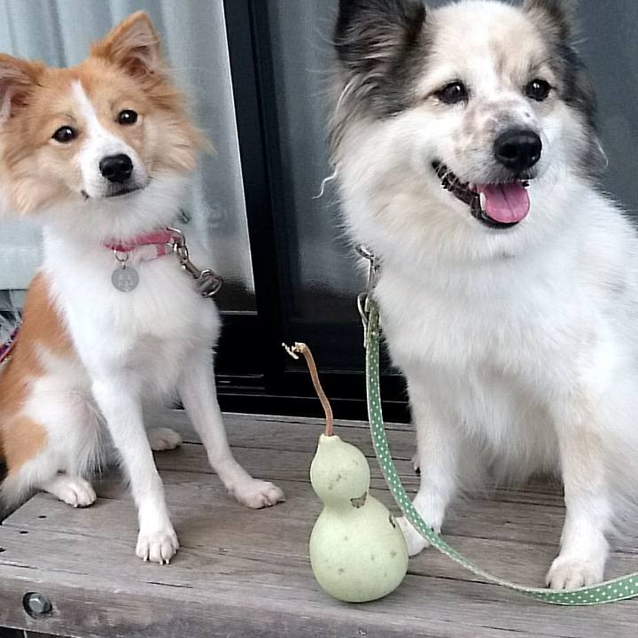 5672cc1d 4f9b 4ff2 b133 63a57d2ea514