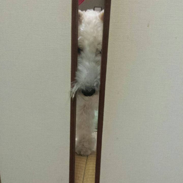 56737de3 3451 420c bd77 0cbd38f60ffc