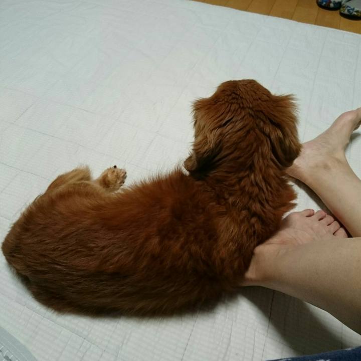 5673b719 9d99 42b4 b0f5 45e707a9217c