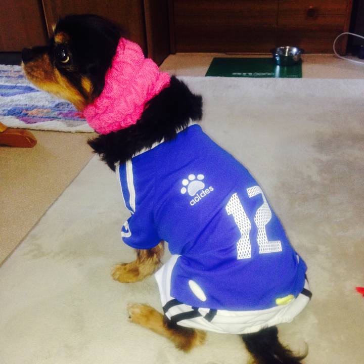 5673ec04 d1a7 4ad9 b9e3 6379cb2113aa