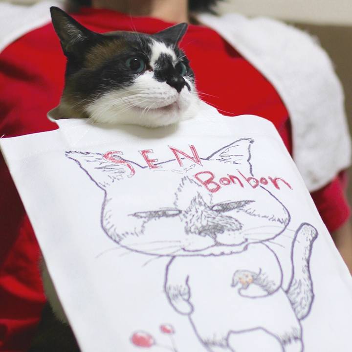 5674023a b1fa 42e2 a67a c9a946ab5147