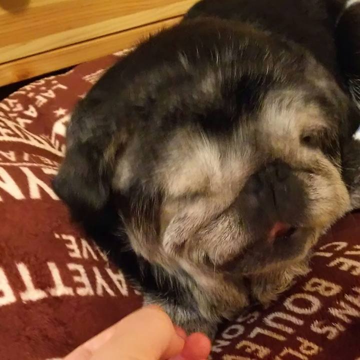 5674d8bd ef23 4082 a0d3 834cd05e37de