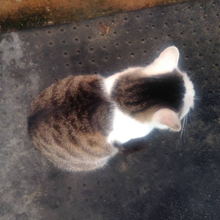 56759067 d5b9 42df b00d f34fec792119