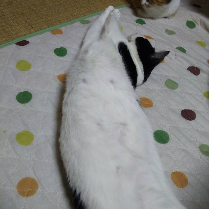 5675a0ac 61bf 4a1d abc0 c3f40ad063db