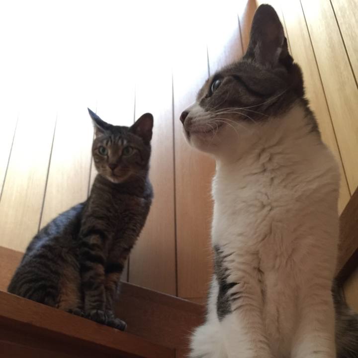 56760112 9c60 44aa 8163 37d7d883fb75