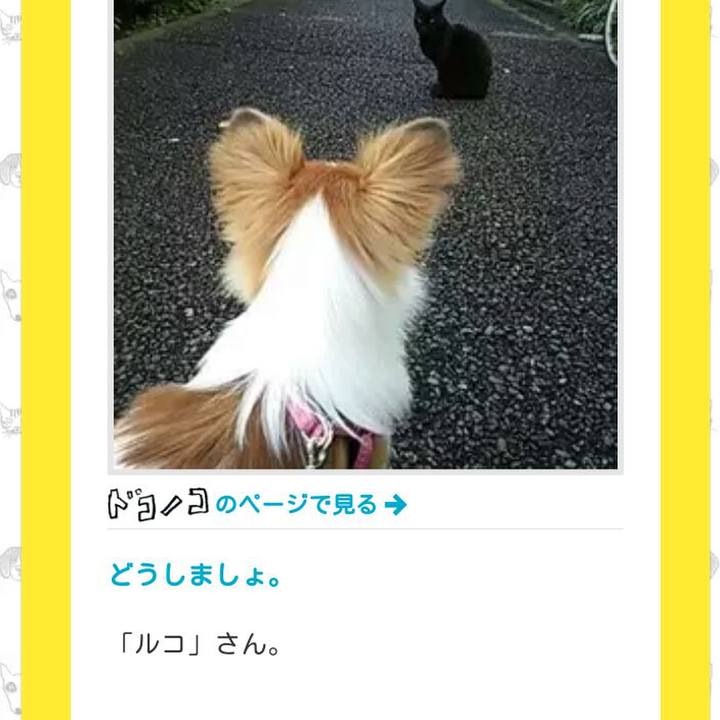 5677180f 142d 4b9f 9298 f3b25ffe4aa5