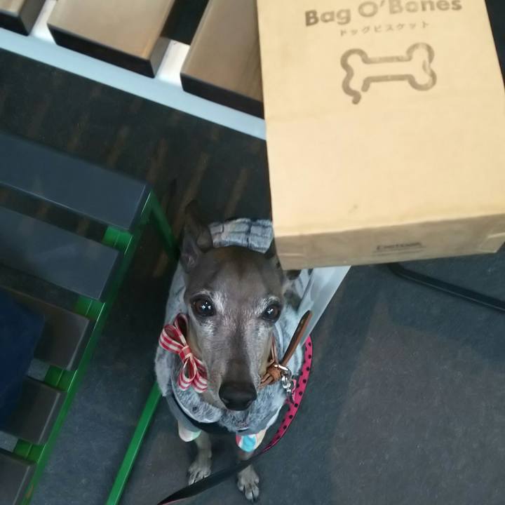 56776c82 ae0f 460b b6f1 159b45a193cb