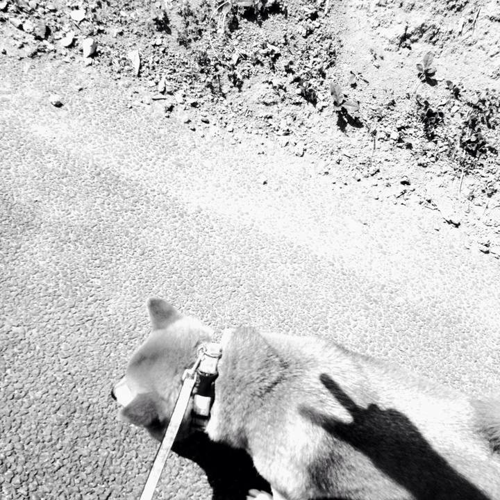 567779ec fef1 4763 ad34 9be779e71d2b