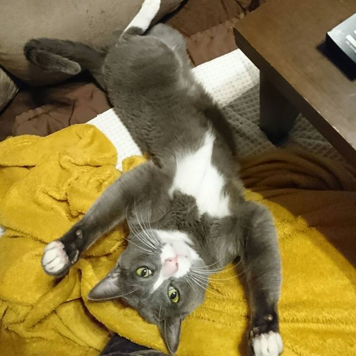 5677f74a a4e2 4696 80f4 ab902bae86f2