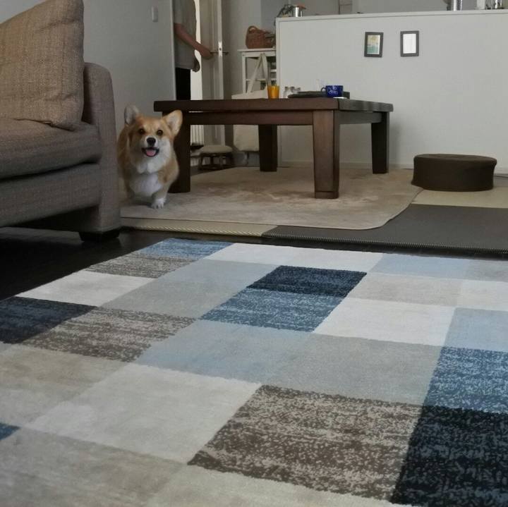 567850bc 62e9 47d0 82ab 8518dd5895d1