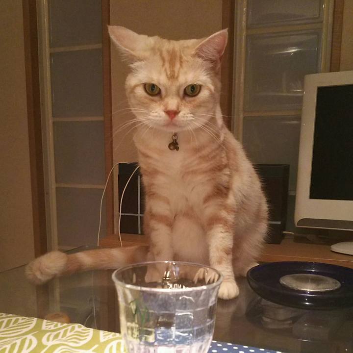 567882cf 0964 4bf1 9ebc b5d42f334f5d