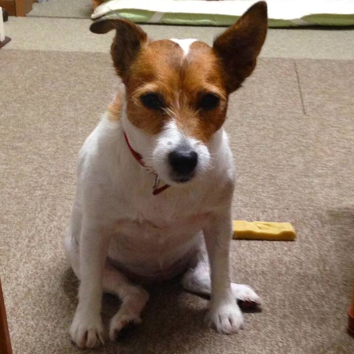 567913bf 4f9f 4bd4 ad65 b16e30f79562