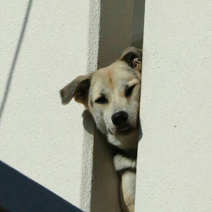 56794aa4 ea79 47dd 9589 70c3f2b38c9e