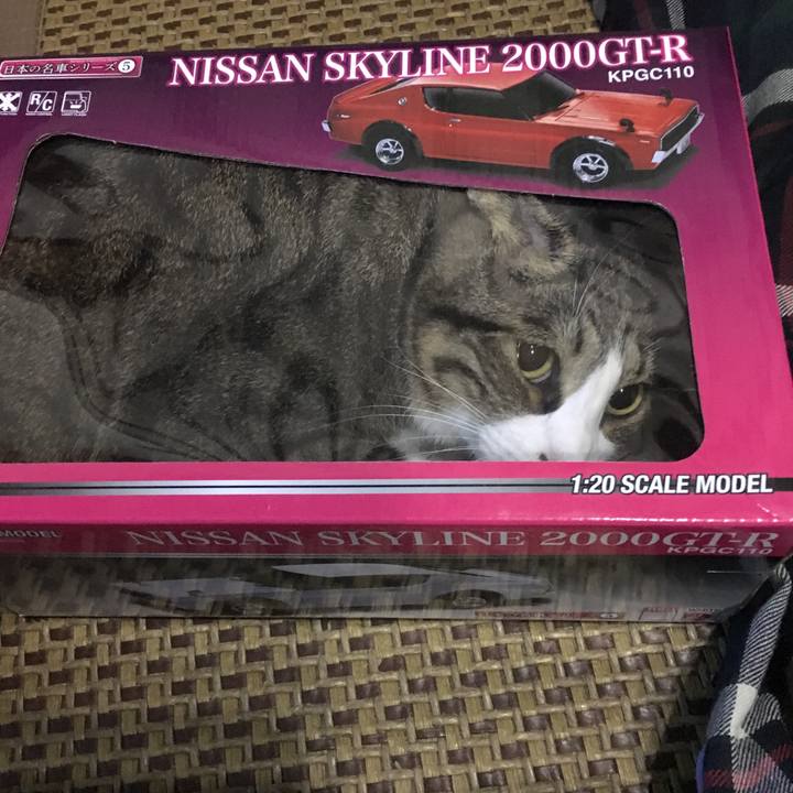 5679617f cdac 432a a5f7 77ffe04cac99