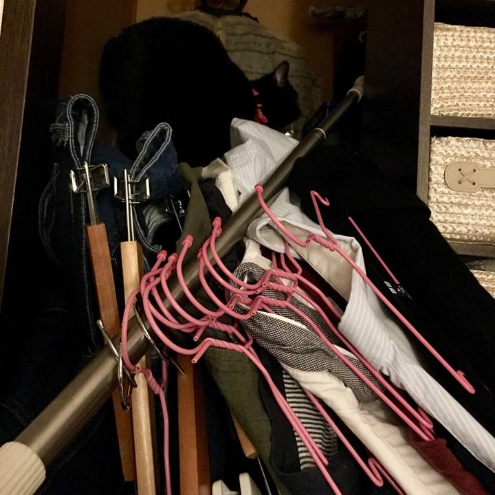 567a1f10 0e8c 4e83 88d5 35cfa991528a