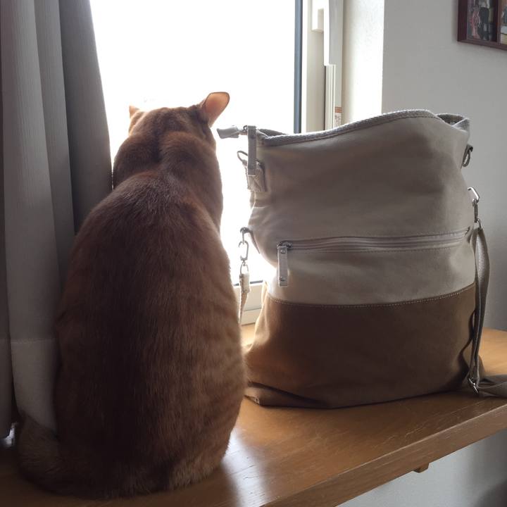 567a6910 1c3f 4a5b b632 bdcd9d62a47a