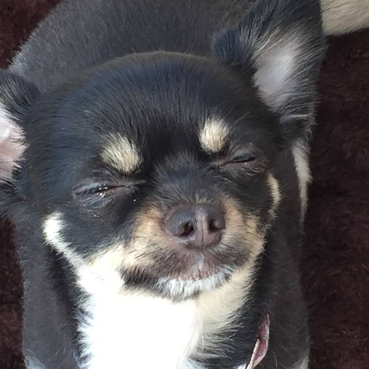 567b752c 554f 4980 a26f 262f1d43737f