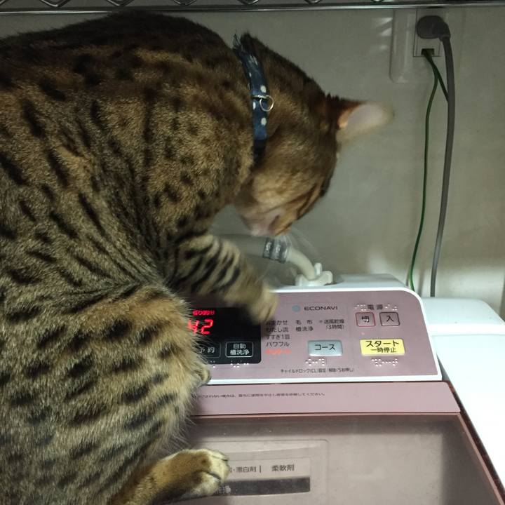 567bc882 2d4f 4f15 a810 c04b807de738