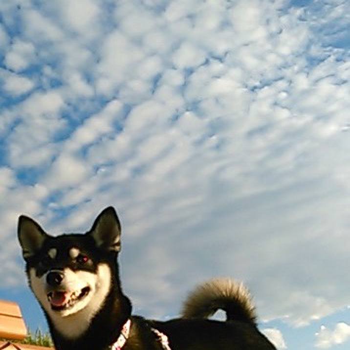 567c1e35 6252 493a 800e 9ec2c3d3659f