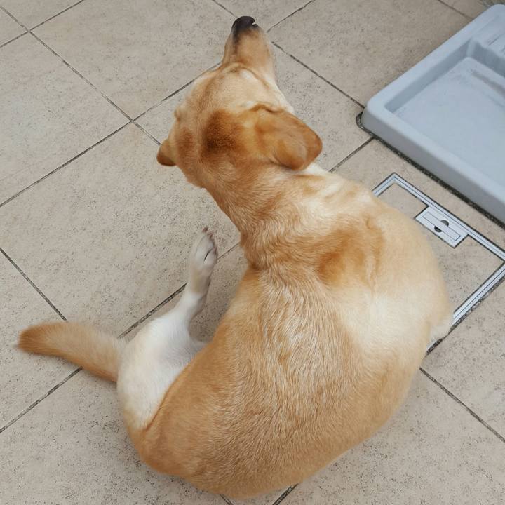 567e283c 6883 4381 a6a7 fe8f991a0f14