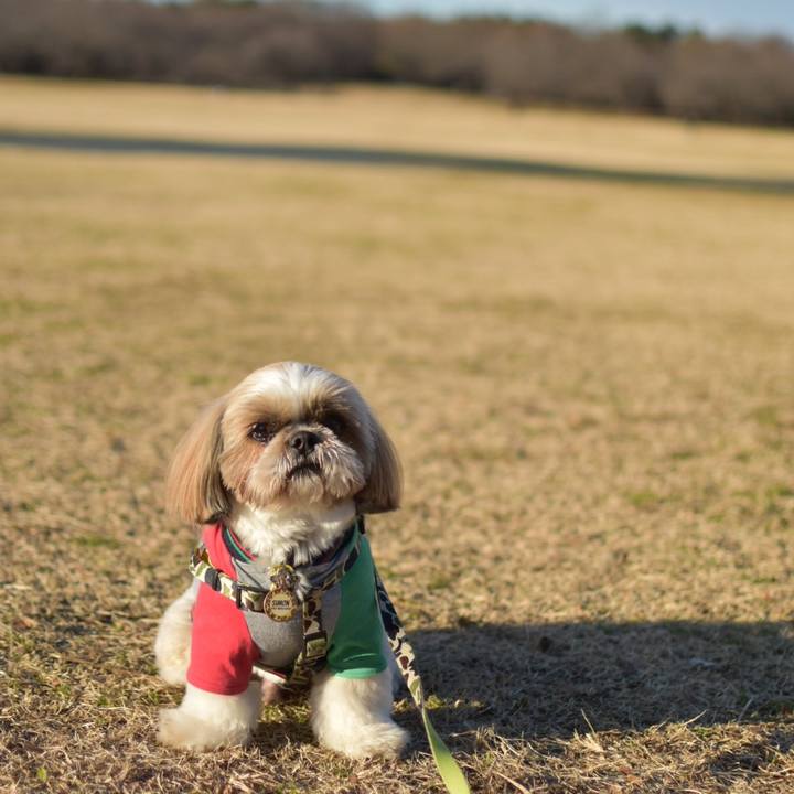 567e5389 e2bf 46a8 98ba 32798d01b900