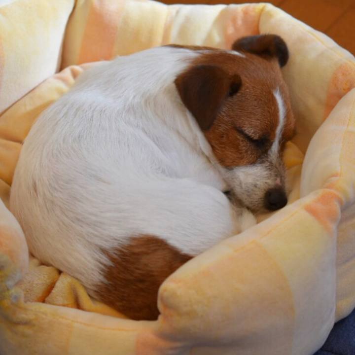 567e5afa bfb9 46a7 8e74 097308540b09