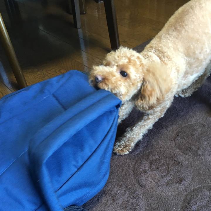 567e6b9f aed0 4bc8 89d5 8c08221e8872