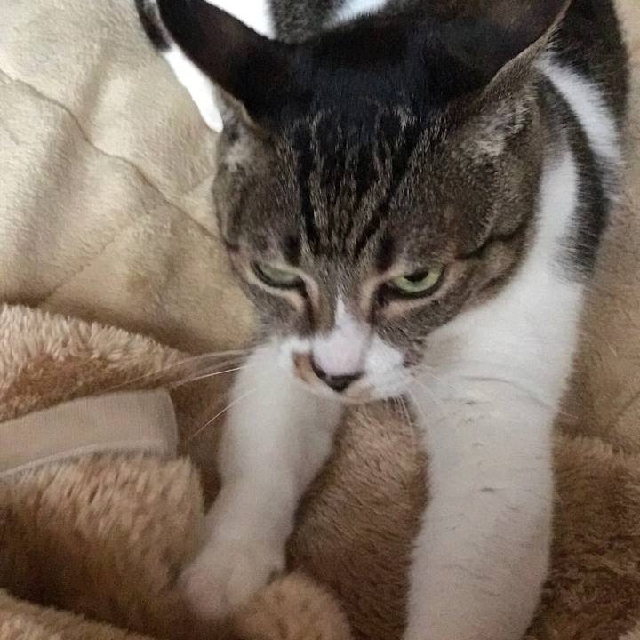 567f70e8 01d8 4466 a415 5689f6d23614