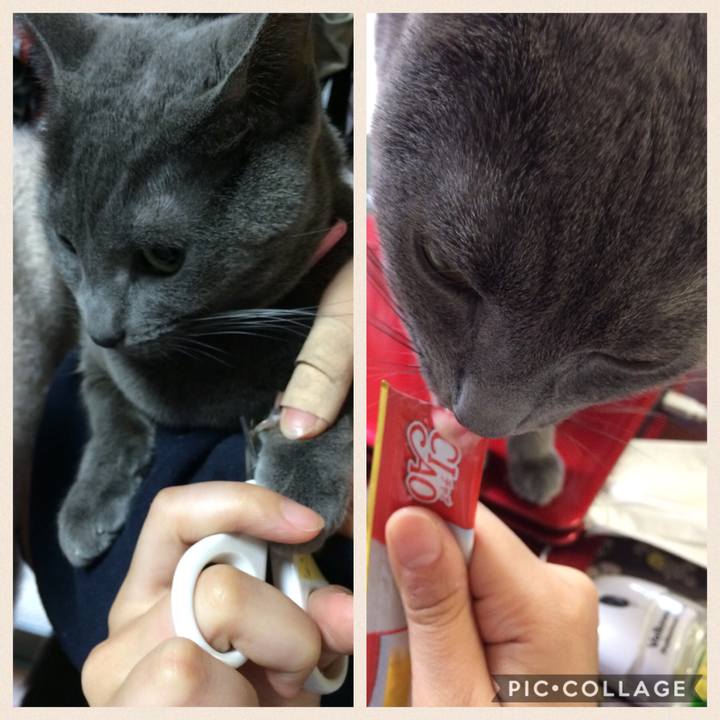 5680304e cadc 4567 9799 cb90ab90eeb9