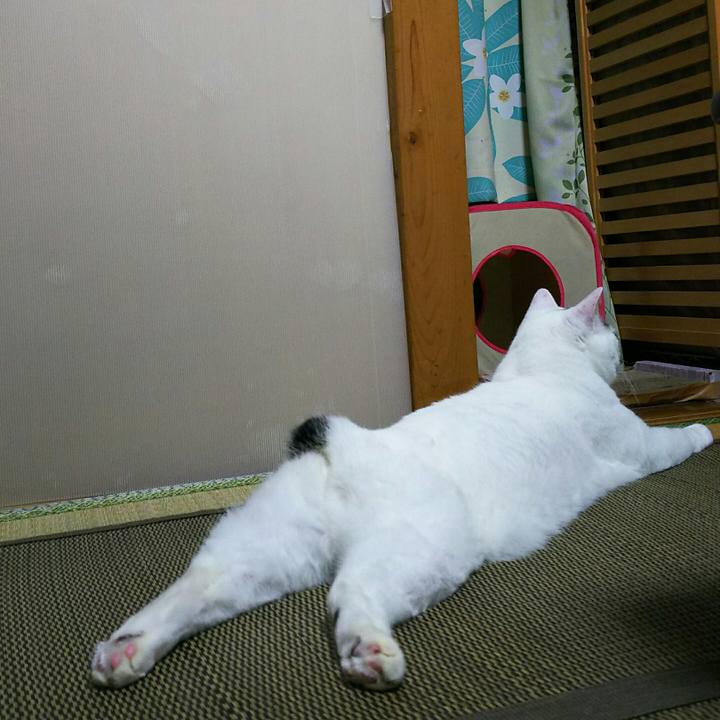 568062c1 8b1d 4994 8c69 85bd38c41071