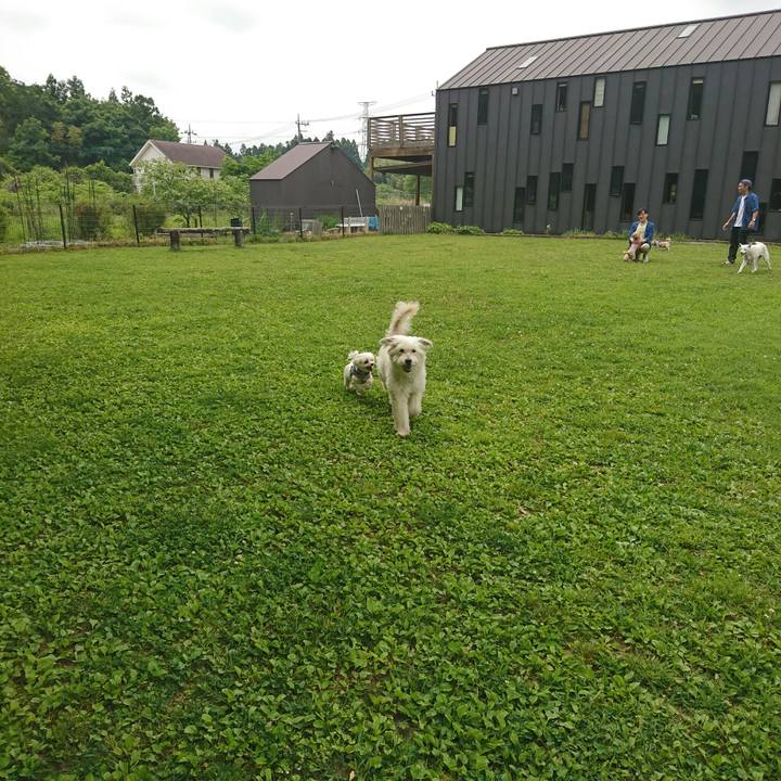 56818758 cd40 4e75 8d09 c57db6f81f1a