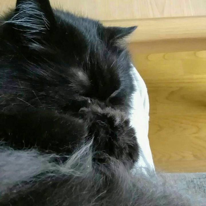 5682bee4 e912 411e 87e4 cfdc12d058a5