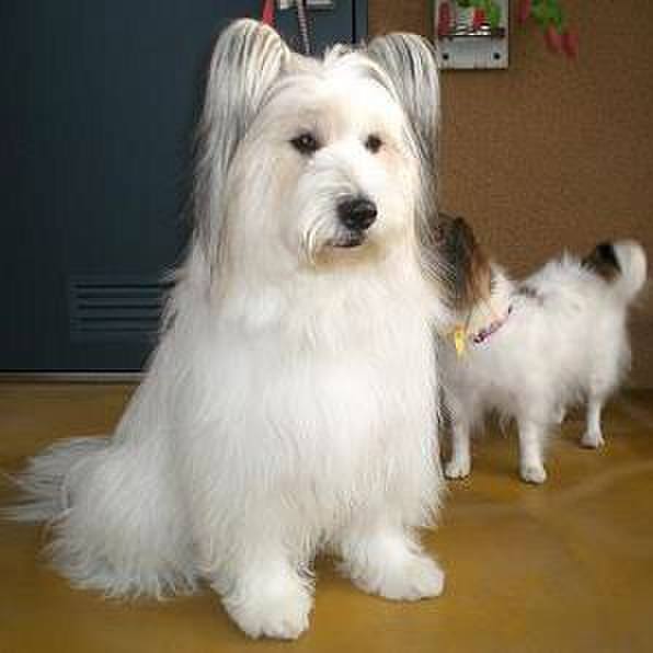 56839f19 2b83 41b4 8fe1 97266594eb2b