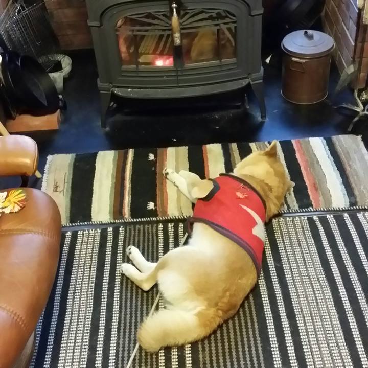 5683c58c ffbc 4fd2 9eba 5c11d7718d9d