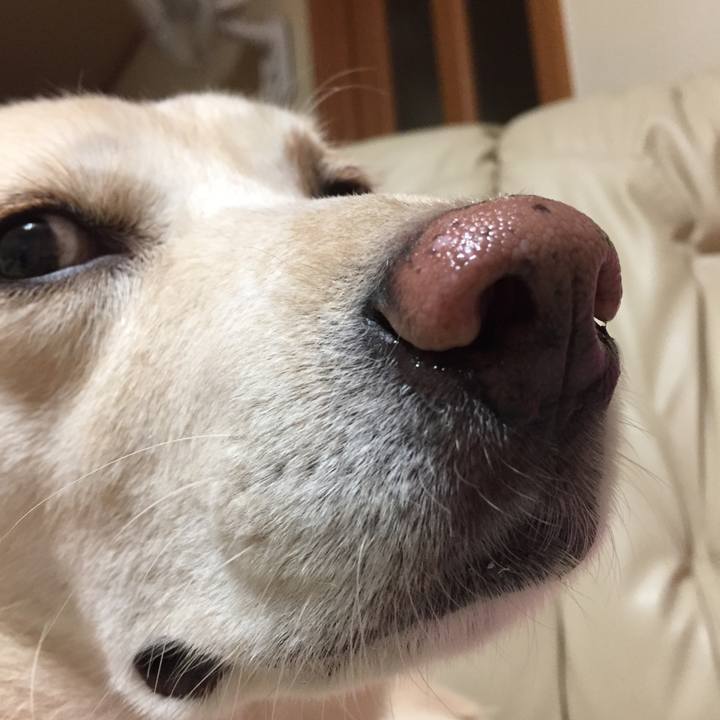 5683cdf0 8851 4a7d 8c76 1ae42a270efe