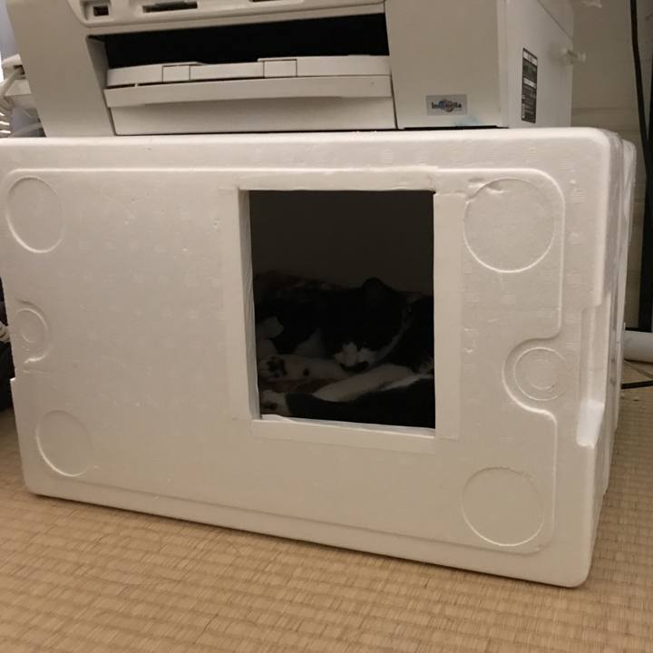 56840ac8 b424 4700 97de 4c948195dfca