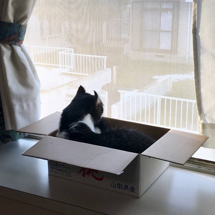 56850597 508a 44b8 833b 31b2166b5a86