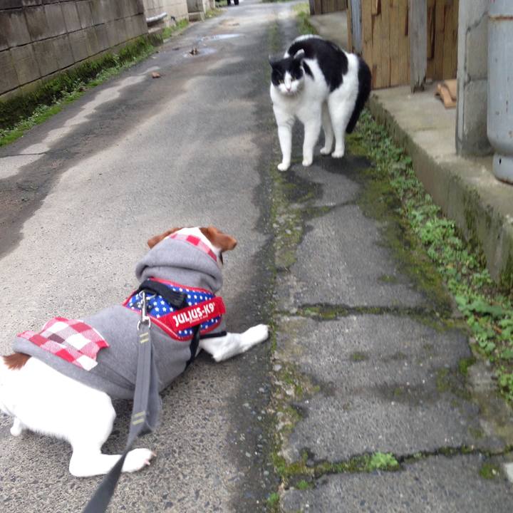 5685e0d0 9940 4a84 837a b431e4daf798