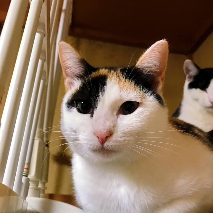 56869c55 1871 40cb 8482 9c924ade0034